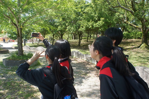 DSC08516