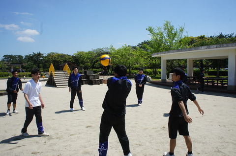 DSC08519