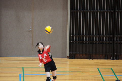 DSC08846