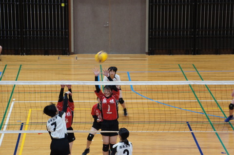 DSC08857