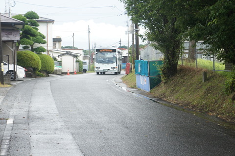 DSC00532