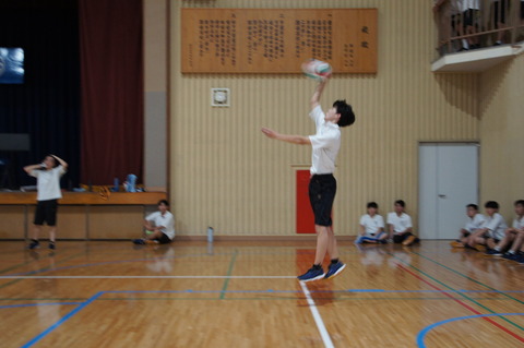 DSC01241