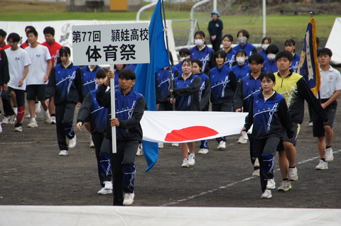 DSC03684