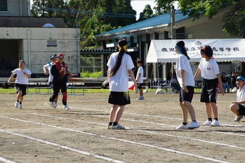 DSC04218