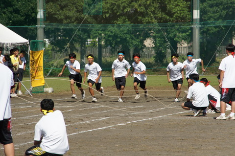 DSC04520