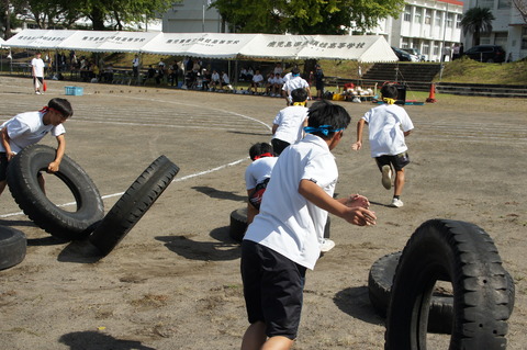 DSC04529