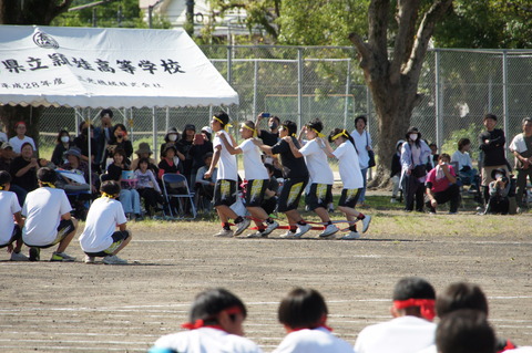 DSC04617