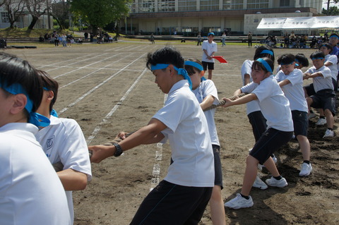 DSC04653