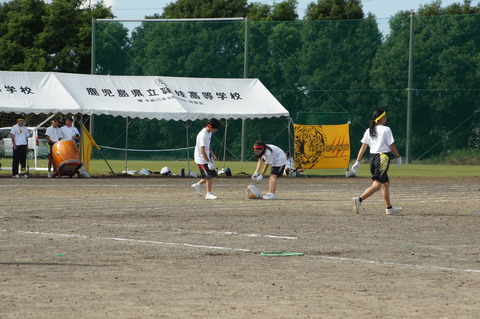 DSC04951