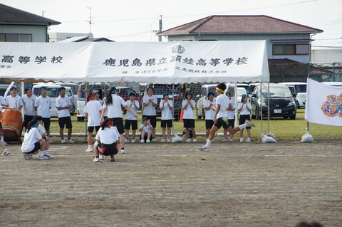DSC04973