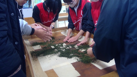 WIN_20251203_14_09_14_Pro