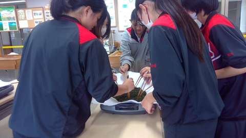 WIN_20251203_14_21_04_Pro