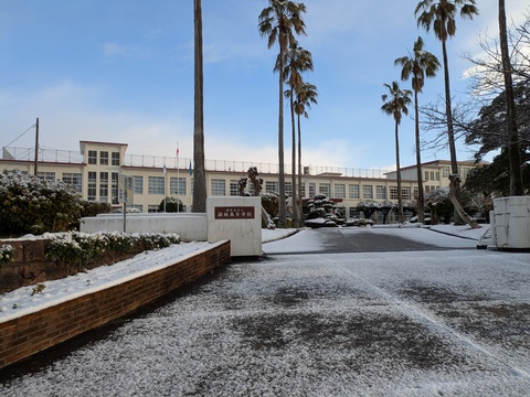 14_PXL_20250204_225506218